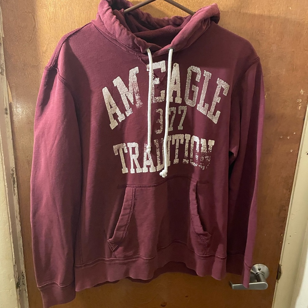 American Eagle Outfitters Burgundy Hoodie for Men